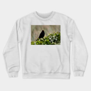 Blackbird on May Blossom Crewneck Sweatshirt